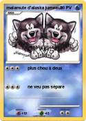 malamute