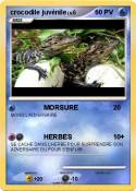 crocodile
