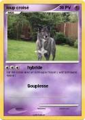 loup croisé