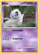 indog
