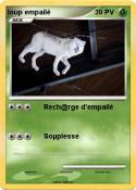 loup empailé