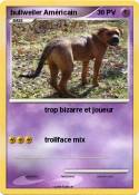 bullweiler