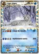 tigre blanc