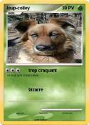 loup-colley