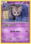 SEAU CAT