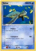 Tortue Tortue