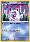 samoyède
