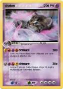 chaton