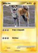 akita inu