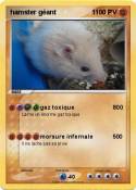 hamster géant