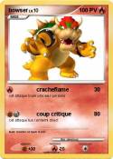 bowser bowser