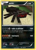 spider