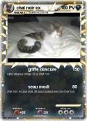 chat noir ex