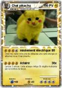 Chat pikachu