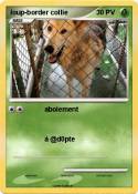 loup-border