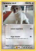 Caramelor niv.X