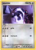pouchini 