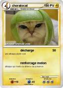 choratocat
