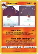 damn litten