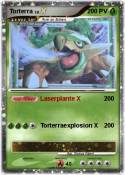 Torterra