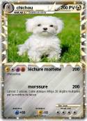 chichou
