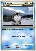 husky