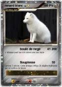 renard blanc
