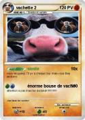 vachette 2