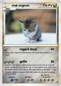 chat mignon