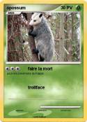 opossum