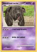 mastiff-bull terrier mastiff-bull