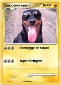 beauceron squad