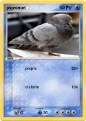 pigeonon