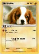 Bile le chien