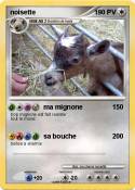 noisette