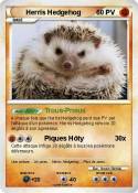Herris Hedgehog