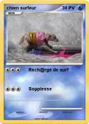 chien surfeur