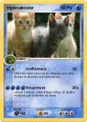 triplecatcolor