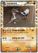 Karatéchat