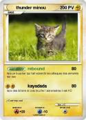 thunder minou