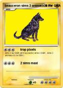 beauceron sims