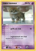 chaton lumineux
