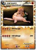 chat bourré