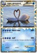 cigne amoureux
