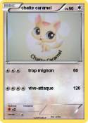 chatte caramel