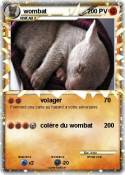wombat wombat