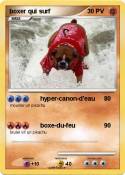 boxer qui surf