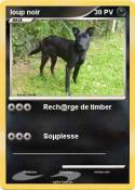 loup noir