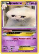 scardy cat