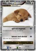 bébé chien